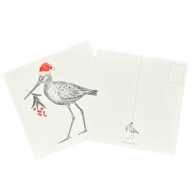 Ansichtkaart Grutto - Kerst