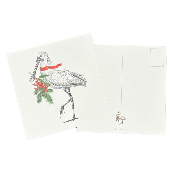 Ansichtkaart Lepelaar - Kerst