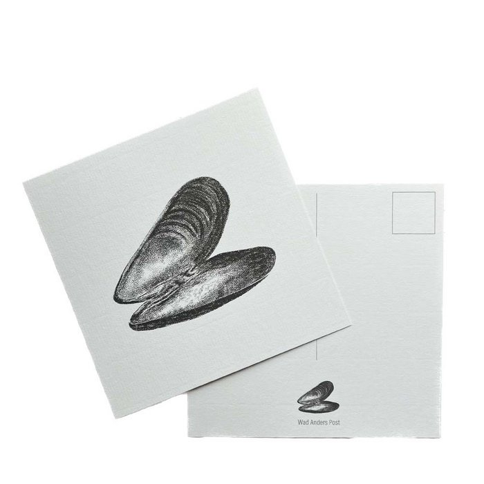 Ansichtkaart Mossel
