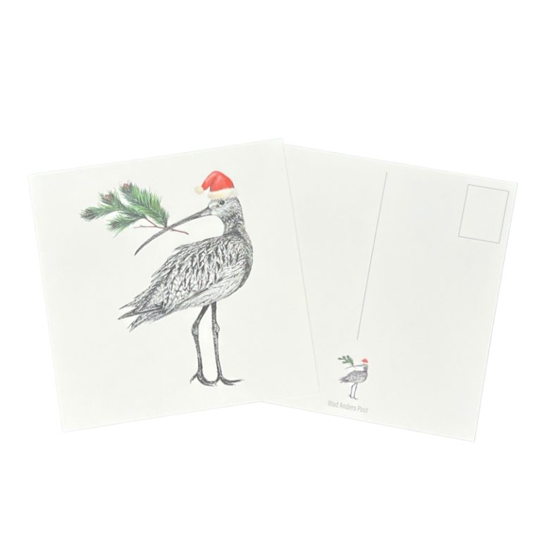 Ansichtkaart Wulp - Kerst