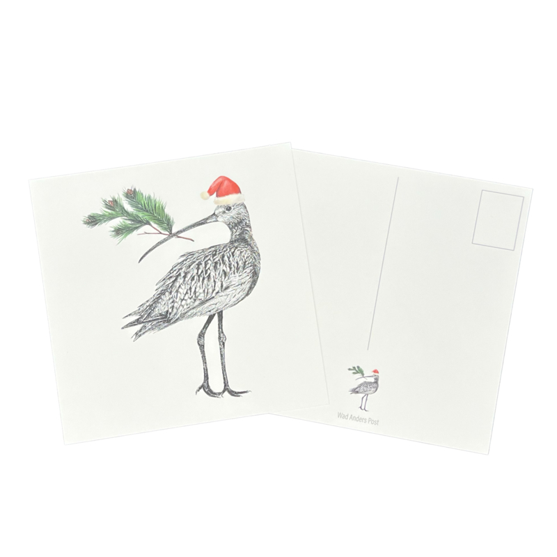 Ansichtkaart Wulp - Kerst