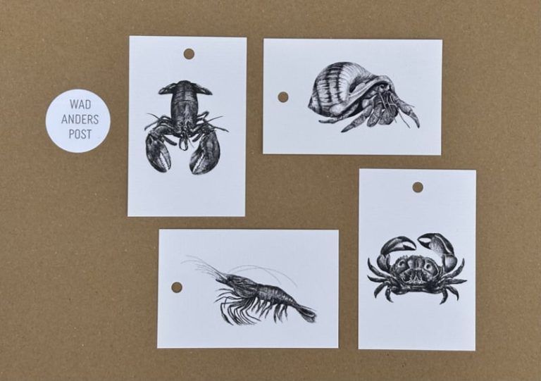 Cadeaulabels set 2 Zeedieren - 4 stuks