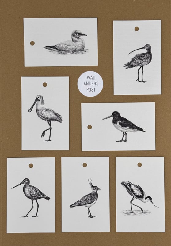 Cadeaulabels Waddenvogels set van 7
