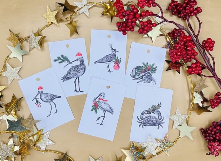 Kerst Cadeau Labels set van 6