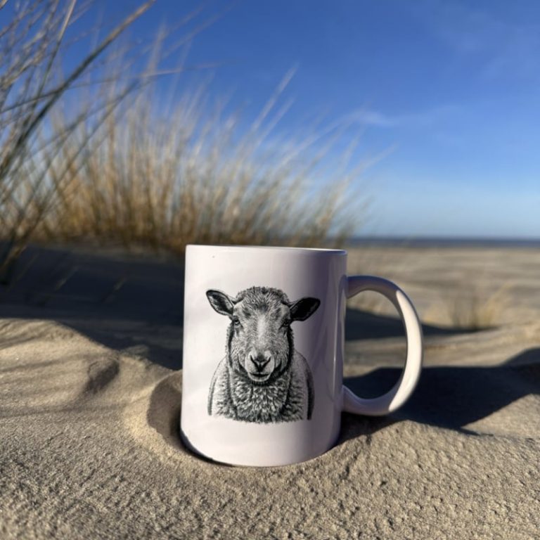 Mok Schaap