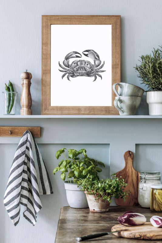 Poster A4 Krab