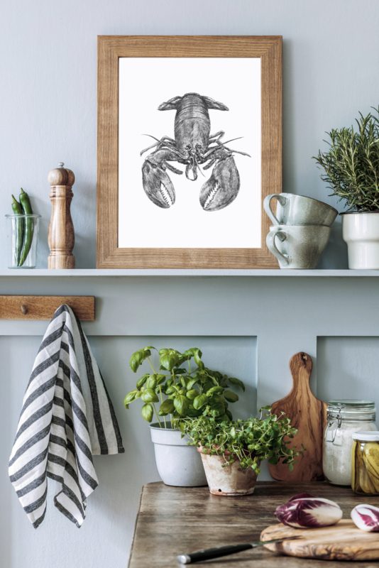 Poster A4 Kreeft