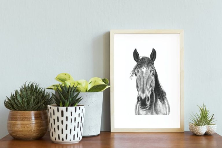 Poster A4 Paard
