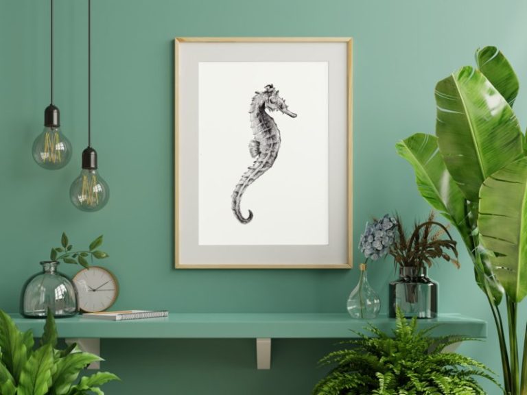 Zeepaardje Poster A4
